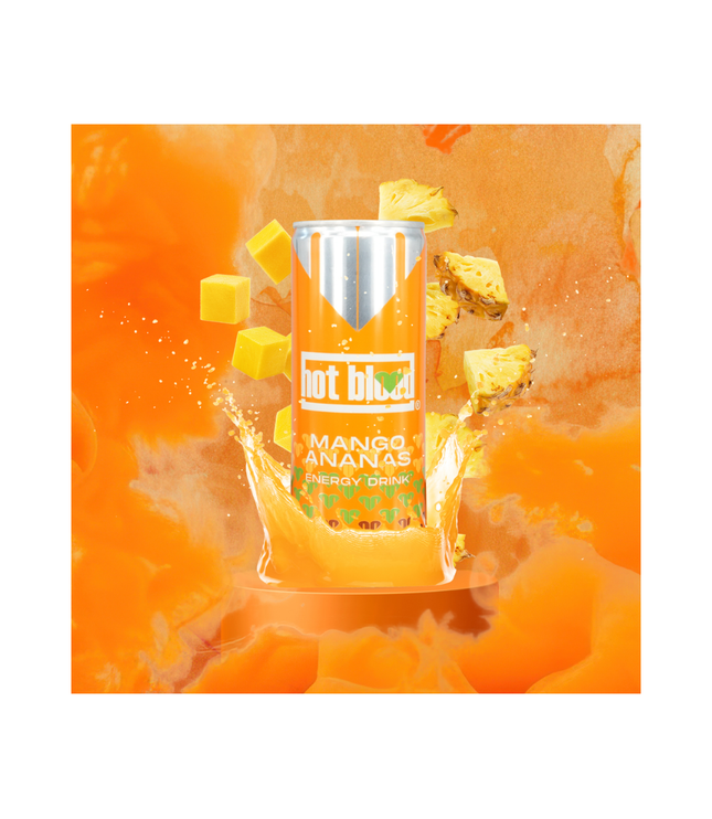 Hot Blood Energy Drink 24er Pack – 4 Geschmacksrichtungen