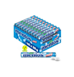 Mentos Mint 40 x 38 g