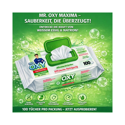 Oxy Allzweckreiniger-Tücher, grüne Packung, 100 Stück